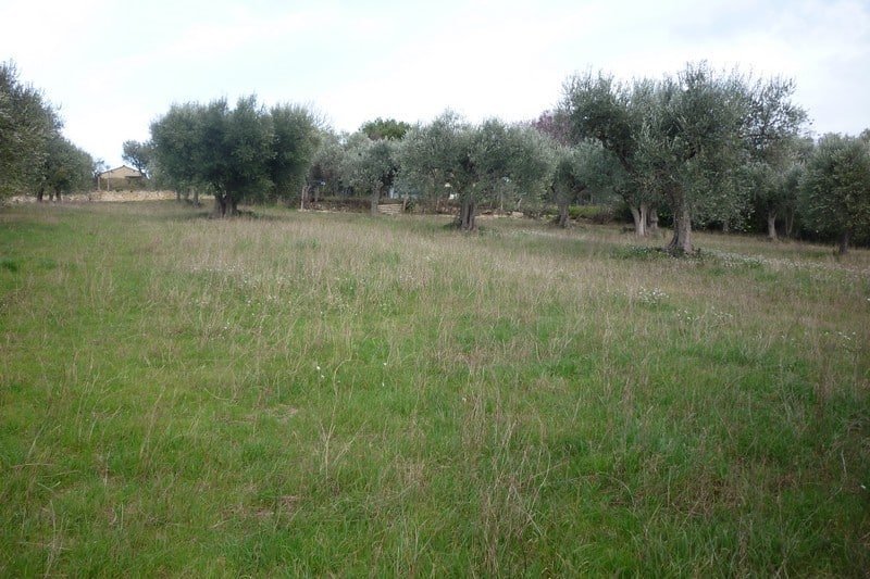 Lotto edificabile con serra solare